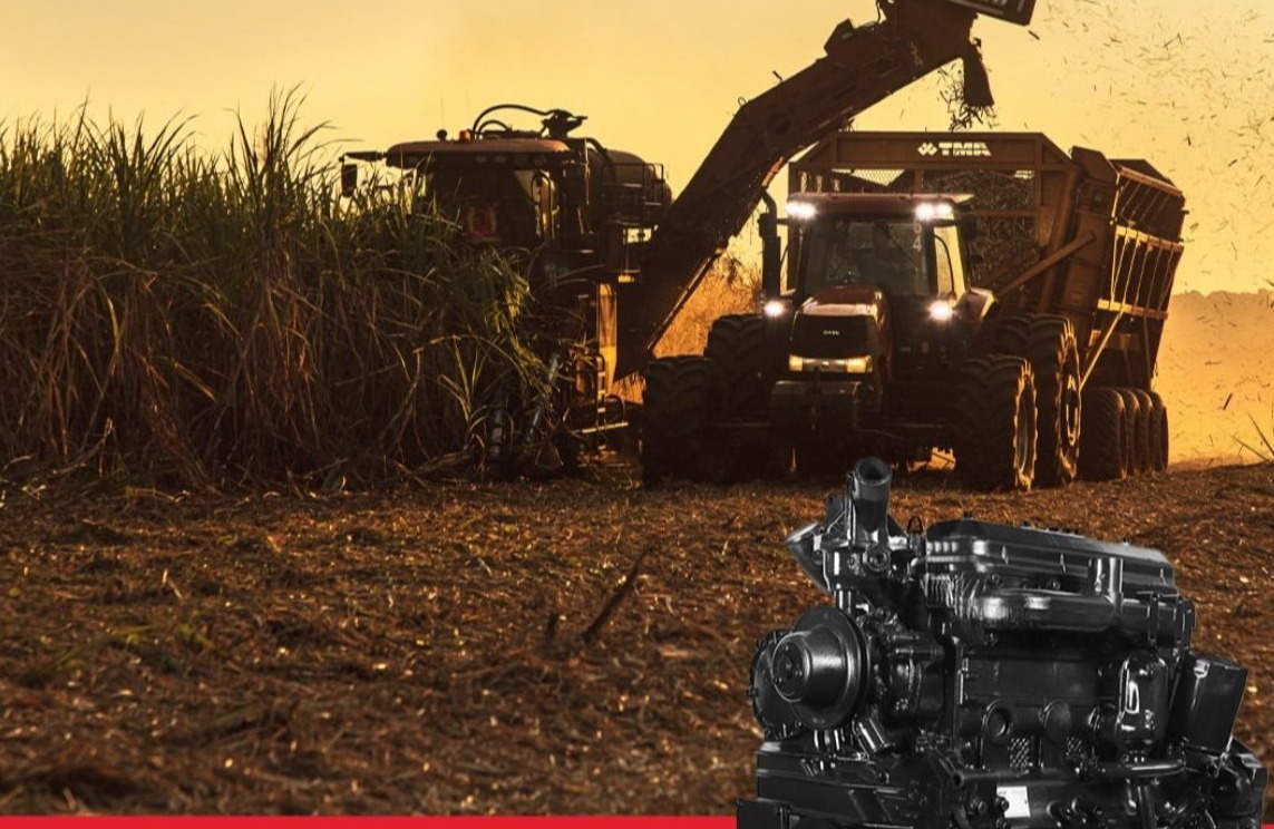 Imagem do WhatsApp de 2025-03-25 à(s) 10.42.03_08deb45a.jpg